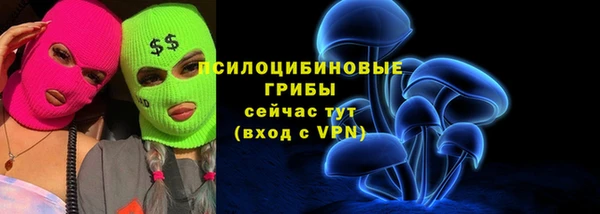 бутират Белокуриха