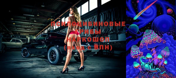 дурь Беломорск