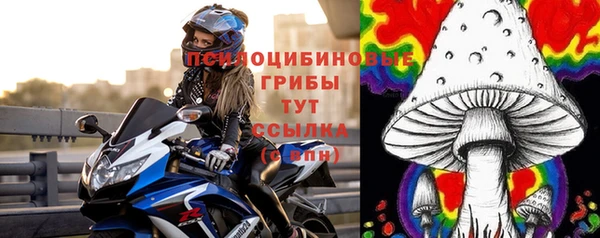 бутират Белокуриха